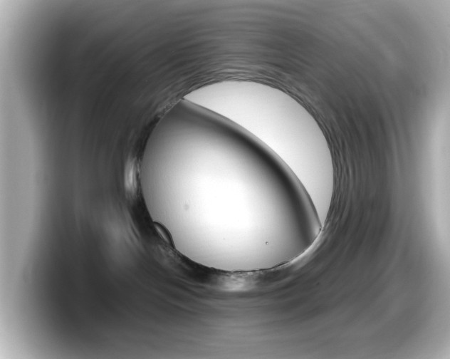 X0000099400094200805081250