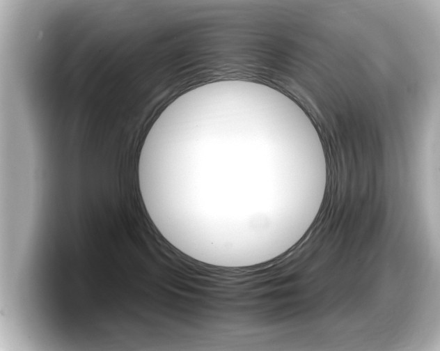 X0000099400095200805081250