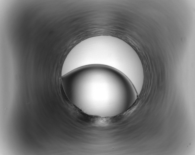 X0000099400096200805081250