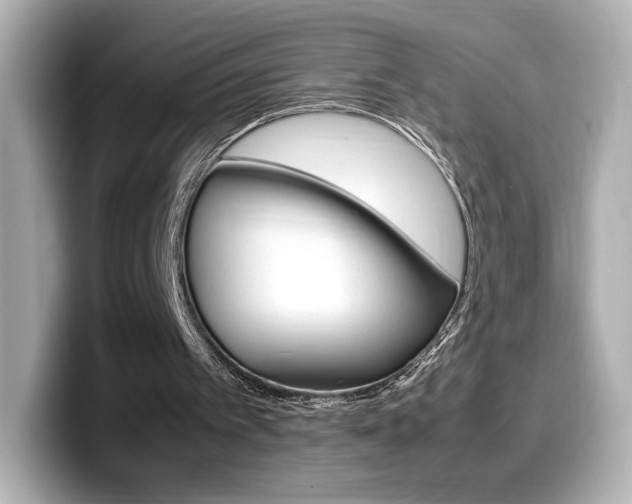 X0000099400097200805081249