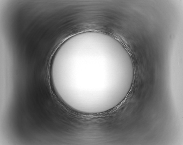 X0000099400098200805081249