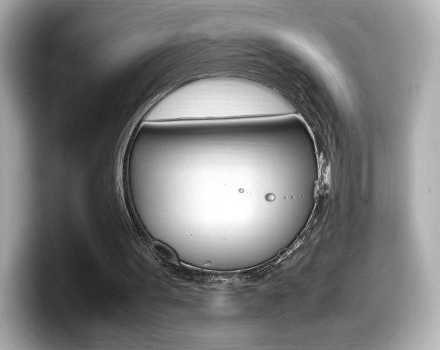 X0000099400099200805081249