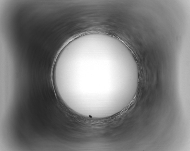 X0000099400100200805081249
