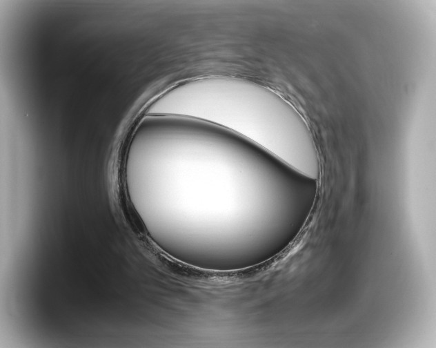 X0000099400101200805081249