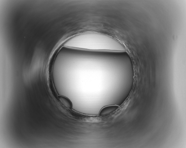 X0000099400102200805081249