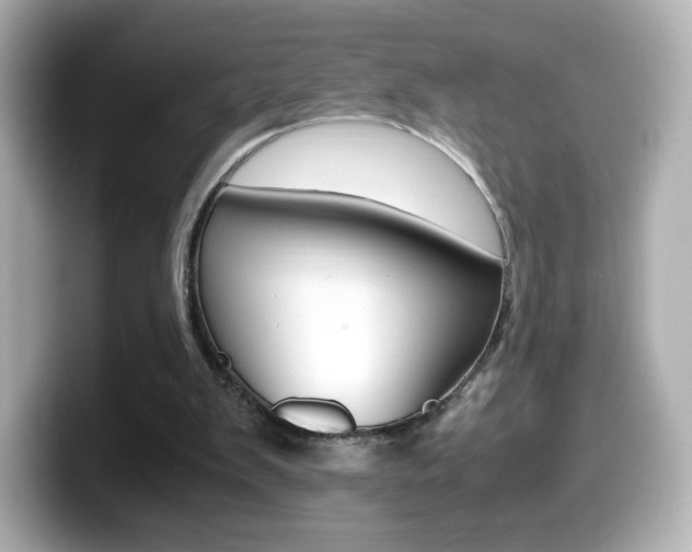 X0000099400103200805081249