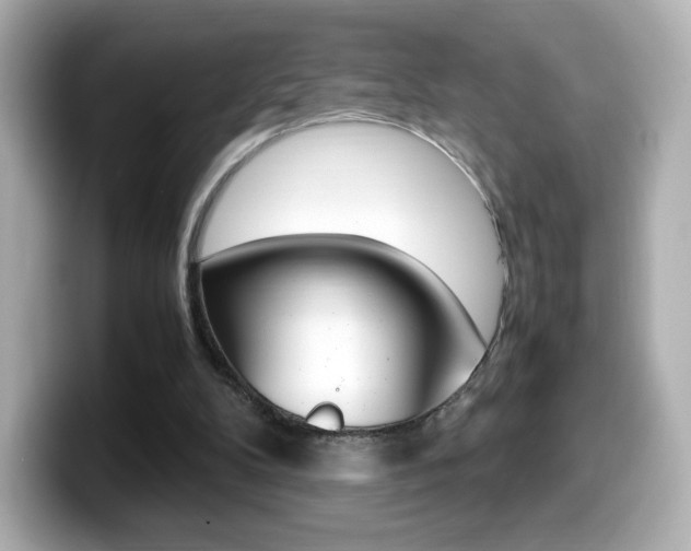 X0000099400104200805081249
