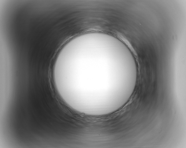 X0000099400106200805081249