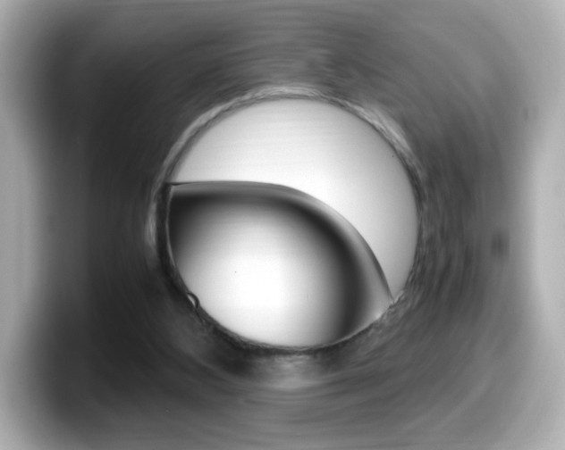 X0000099400108200805081249