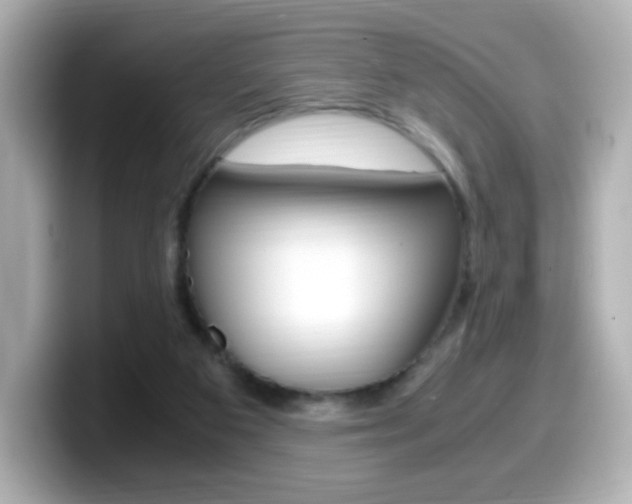 X0000099400113200805081249