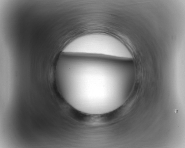 X0000099400121200805081249