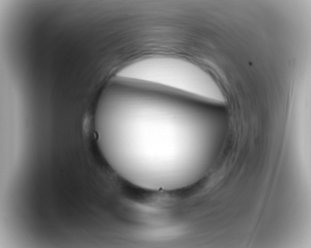 X0000099400123200805081249