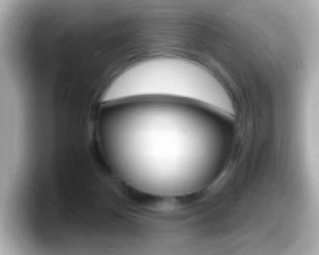 X0000099400124200805081249