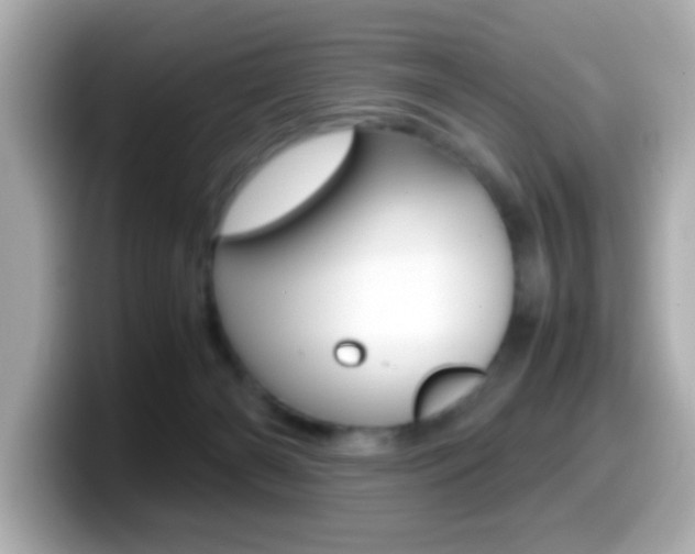 X0000099400126200805081249