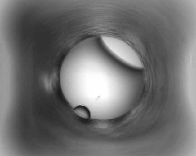 X0000099400127200805081249