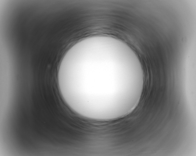 X0000099400128200805081249