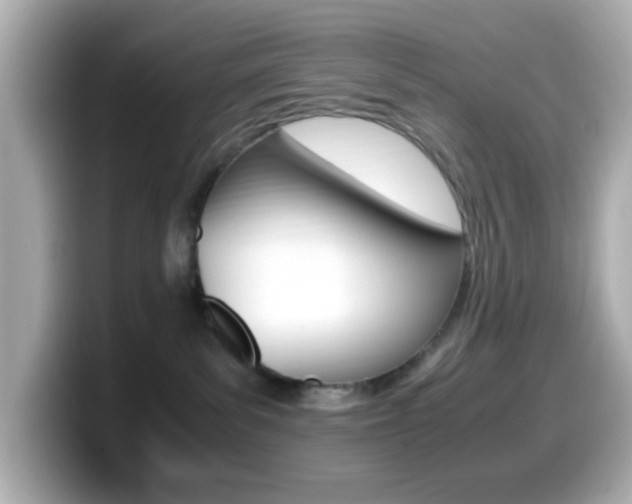 X0000099400139200805081249