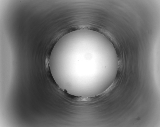 X0000099400142200805081249