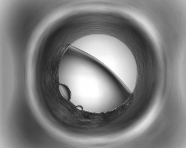 X0000099400143200805081249