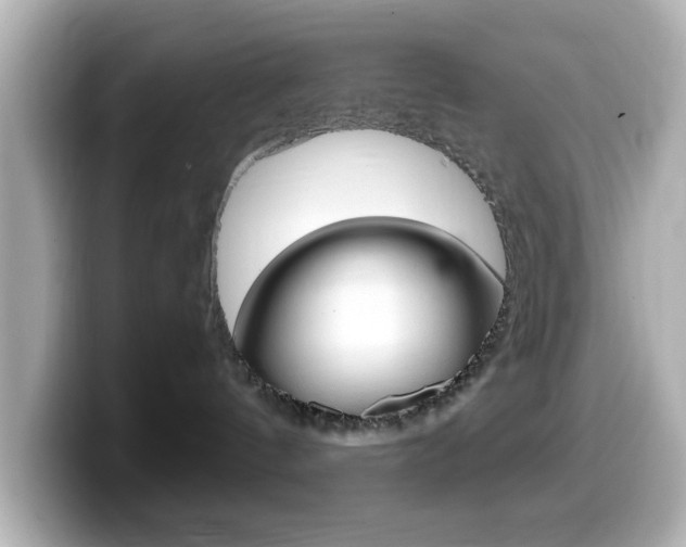 X0000099400144200805081249