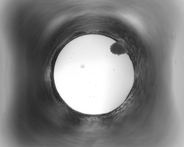 X0000099400146200805081248