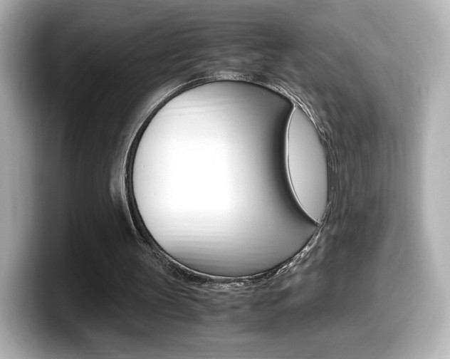 X0000099400147200805081248