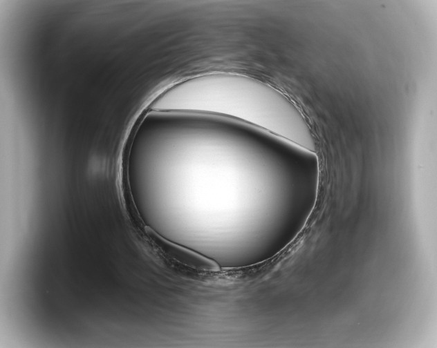 X0000099400148200805081248