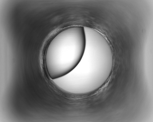 X0000099400149200805081248