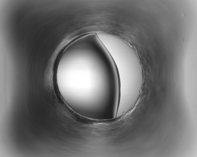 X0000099400150200805081248