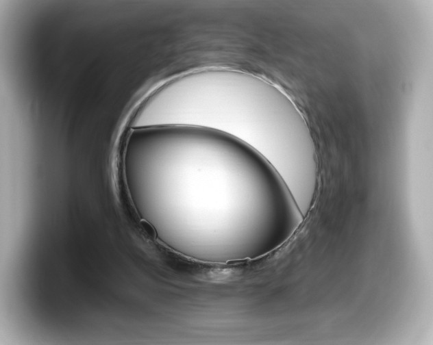 X0000099400152200805081248