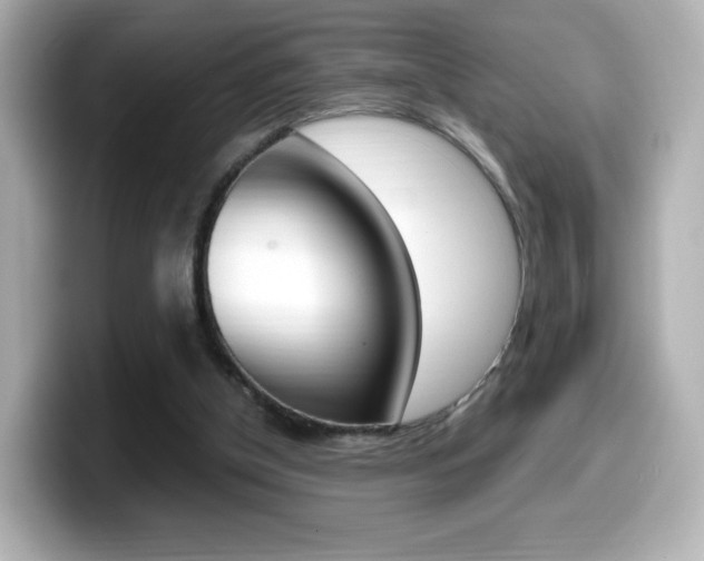 X0000099400154200805081248