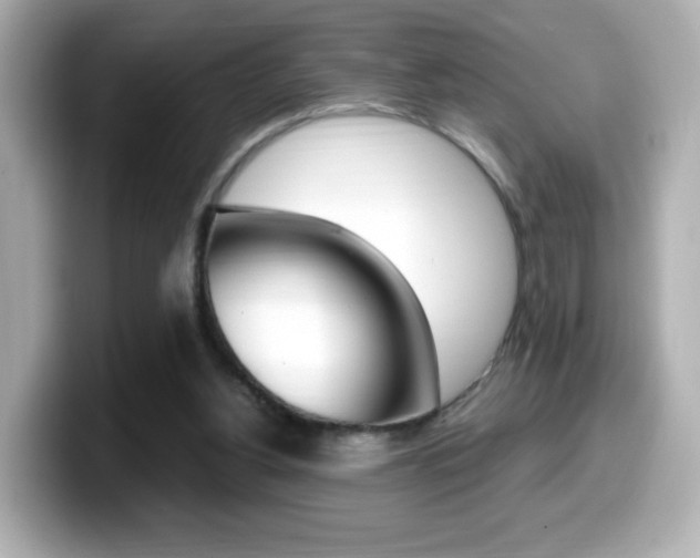 X0000099400156200805081248