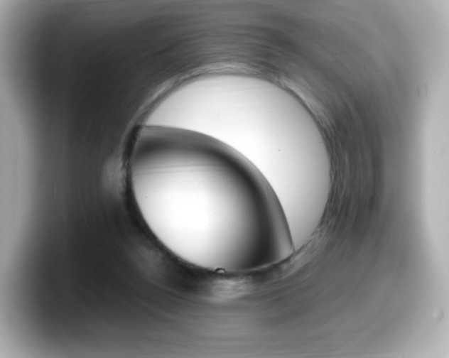 X0000099400160200805081248