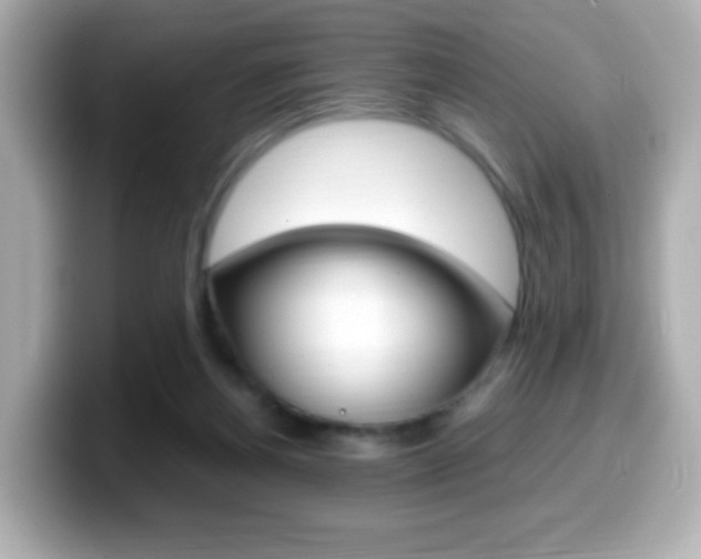 X0000099400164200805081248
