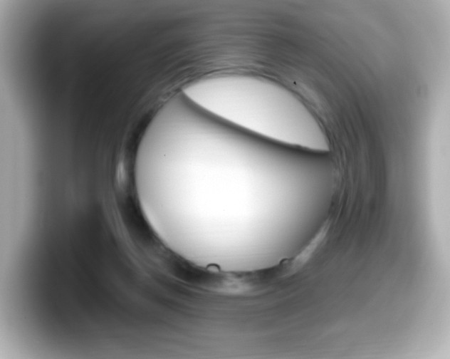 X0000099400166200805081248