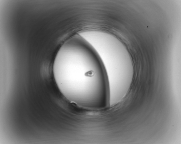 X0000099400168200805081249