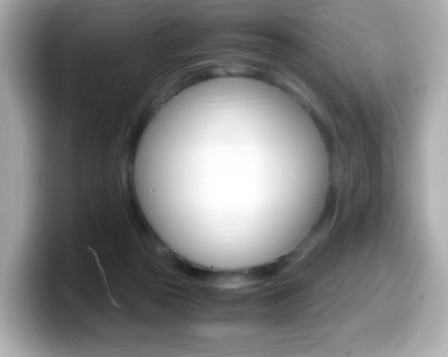 X0000099400169200805081249