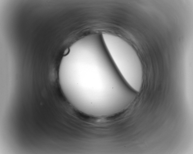 X0000099400173200805081249