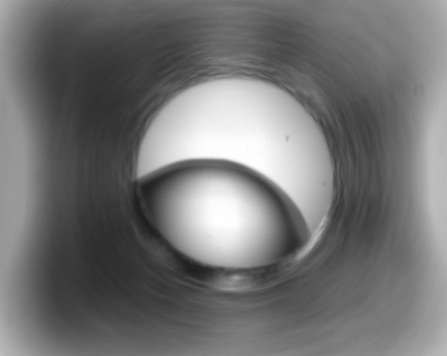 X0000099400174200805081249