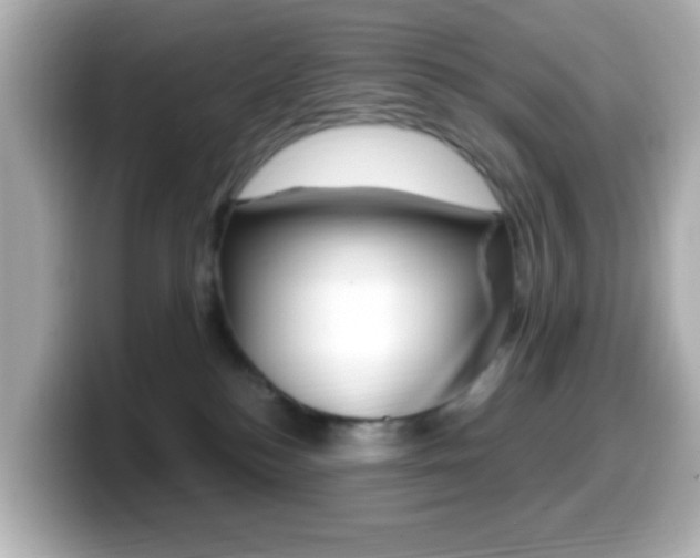 X0000099400184200805081249