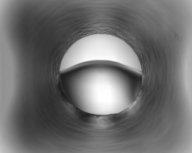X0000099400186200805081249
