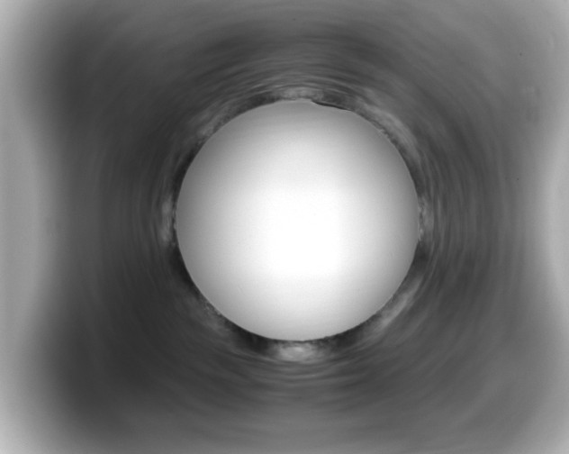 X0000099400189200805081249