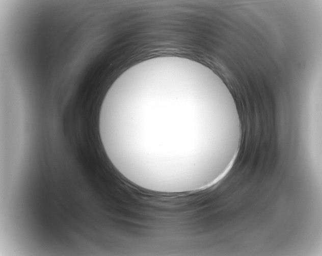 X0000099400190200805081249