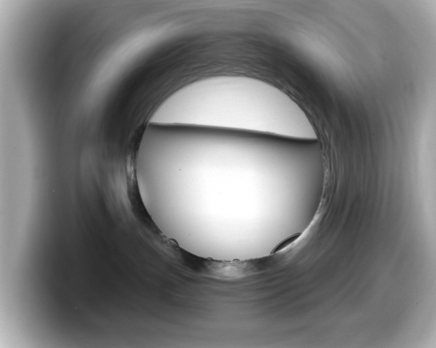 X0000099400191200805081249