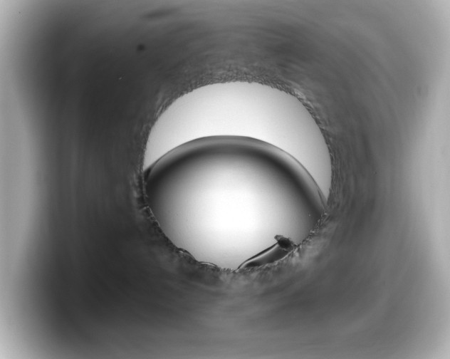 X0000099400192200805081249