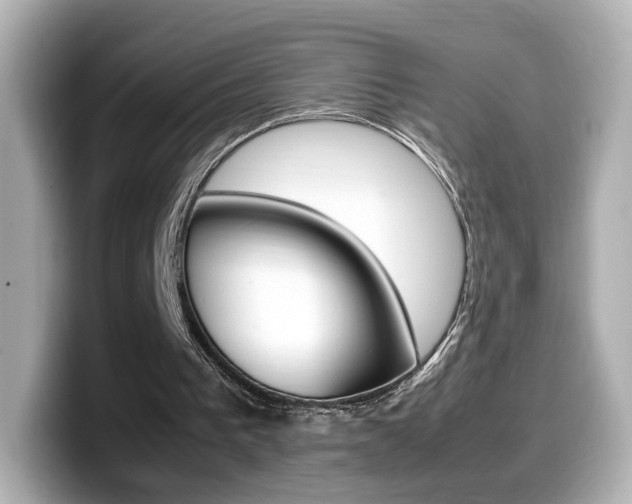 X0000099400193200805081248