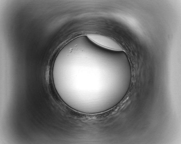 X0000099400194200805081248