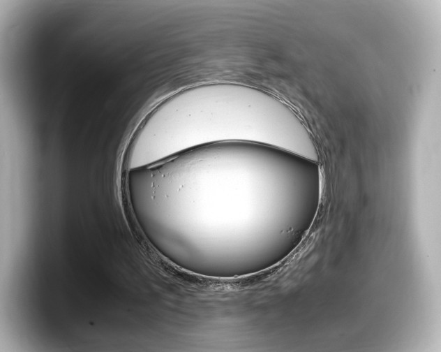 X0000099400195200805081248