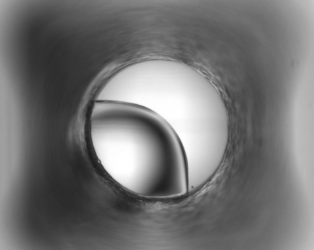 X0000099400197200805081248