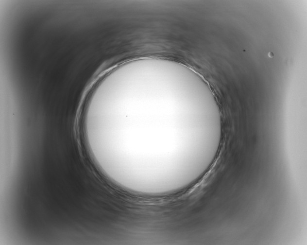 X0000099400198200805081248